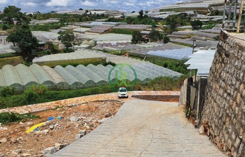 CẦN BÁN ĐẤT NÔNG NGHIỆP ĐƯỜNG HUỲNH TẤN PHÁT - P11 - ĐÀ LẠT