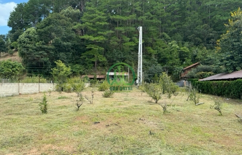 CẦN BÁN ĐẤT HIỆP AN - ĐỨC TRỌNG