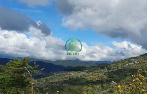 CẦN BÁN ĐẤT KQH TRƯỜNG XUÂN 2 - XUÂN TRƯỜNG - ĐÀ LẠT