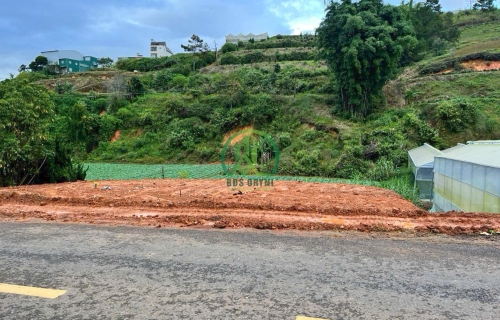 CẦN BÁN ĐẤT MẶT TIỀN ĐƯỜNG ĐA PHÚ - P7 - ĐÀ LẠT