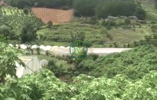 CẦN BÁN 2 LÔ ĐẤT VIEW ĐỒI NÚI XÃ TÀ NUNG - ĐÀ LẠT