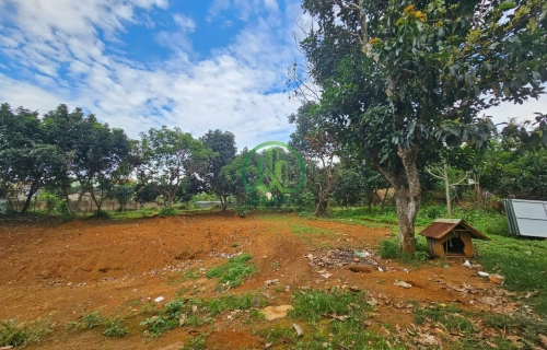 CẦN BÁN LÔ ĐẤT MẶT TIỀN ĐƯỜNG QUỐC LỘ XÃ TÀ NUNG - ĐÀ LẠT