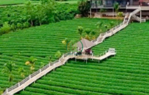 CẦN BÁN ĐẤT XÃ PHÚC THỌ - LÂM HÀ - LÂM ĐỒNG