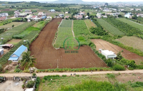 CẦN BÁN 10 LÔ ĐẤT NỀN GIÁ F0 - TÂN HỘI- ĐỨC TRỌNG- LÂM ĐỒNG 