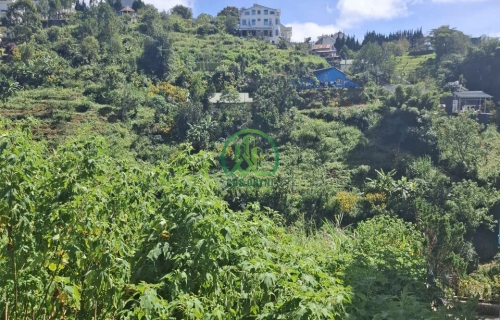 CẦN BÁN LÔ ĐẤT VIEW ĐỒI THÔNG ĐƯỜNG KHE SANH- P10 - ĐÀ LẠT