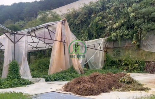 BÁN LÔ ĐẤT 2.112M2 ĐƯỜNG HUYỀN TRÂN CÔNG CHÚA - P4 - ĐÀ LẠT