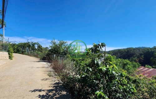 CẦN BÁN LÔ ĐẤT XÃ XUÂN THỌ - ĐÀ LẠT - LÂM ĐỒNG