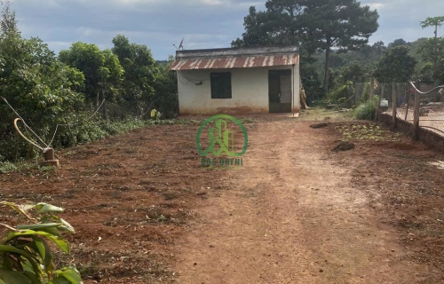 CẦN BÁN ĐẤT TẶNG NHÀ THỊ TRẤN NAM BAN - LÂM HÀ - LÂM ĐỒNG