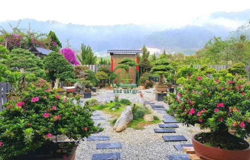 Bán Đất - Hẻm ô tô lớn - Sổ riêng - đường Mimosa, Phường 10, Đà Lạt, đường trước nhà 3 m