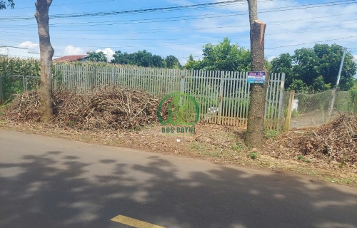 BÁN LÔ ĐẤT MẶT TIỀN ĐƯỜNG NHỰA XÃ TÂN THÀNH - ĐỨC TRỌNG.