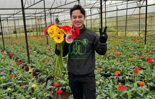 CẦN BÁN GẤP LÔ ĐẤT XÂY DỰNG TẶNG NHÀ GỖ THÁI PHIÊN- P12- ĐÀ LẠT 