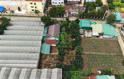 CẦN BÁN ĐẤT TẶNG NHÀ XÃ MÊ LINH- LÂM HÀ