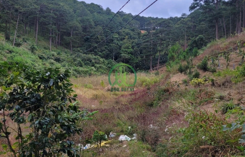 BÁN 500M2 ĐẤT NÔNG NGHIỆP XÃ XUÂN THỌ - ĐÀ LẠT