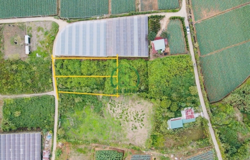 CẦN BÁN ĐẤT- MIMOSA - P10 - ĐÀ LẠT.