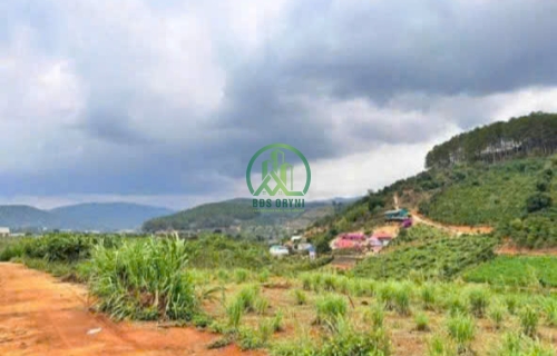 CẦN BÁN 10 LÔ ĐẤT MÊ LINH GẦN UBND- LÂM HÀ- LÂM ĐỒNG