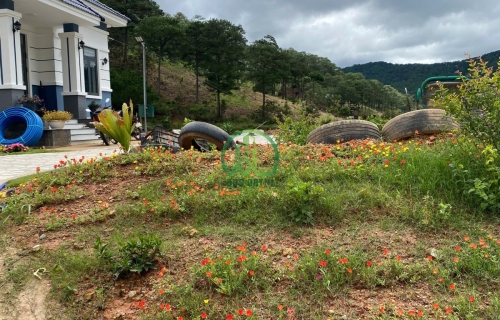 BÁN 3 LÔ ĐẤT VIEW SIÊU ĐẸP XÃ HIỆP AN- ĐỨC TRỌNG - LÂM ĐỒNG