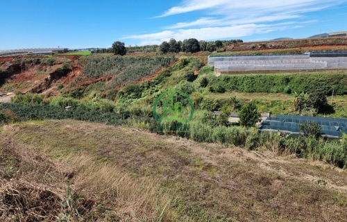 Bán 4841m2 Đất Xuân Thọ Đường Ôtô Lớn-Giá Chỉ 28 Tỷ 