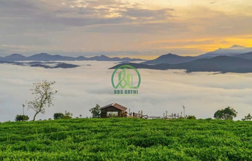 CẦN BÁN 600m2 ĐẤT NÔNG NGHIỆP SỔ RIÊNG VIEW ĐẸP. ĐA PHÚ P7 ĐÀ LẠT