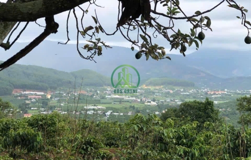 CẦN BÁN LÔ ĐẤT GẦN 7000M2  THỊ TRẤN NAM BAN - HUYỆN LÂM HÀ