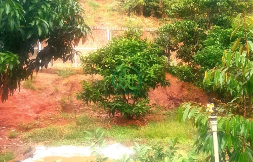 BÁN LÔ ĐẤT 1000M2 XÃ TÀ NUNG - ĐÀ LẠT.