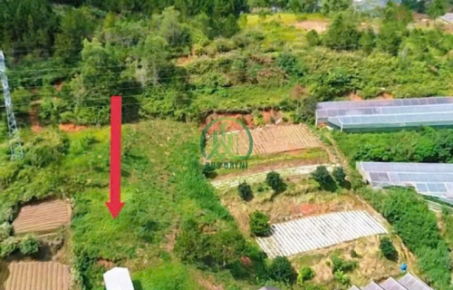 CẦN BÁN ĐẤT 2 MẶT TIỀN PHƯỚC THÀNH, PHƯỜNG 7, ĐÀ LẠT