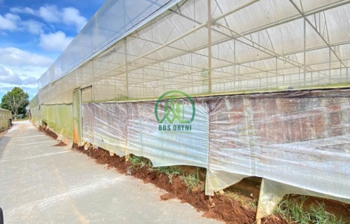 CẦN BÁN LÔ ĐẤT XÂY DỰNG THÁI PHIÊN - P12 - ĐÀ LẠT