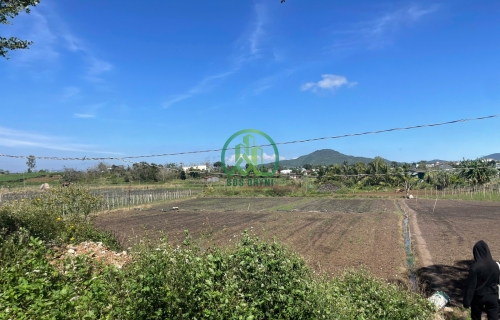 BÁN LÔ ĐẤT 160M2 ĐỐI DIỆN TRƯỜNG NGHĨA HIỆP - LIÊN HIỆP - ĐỨC TRỌNG.