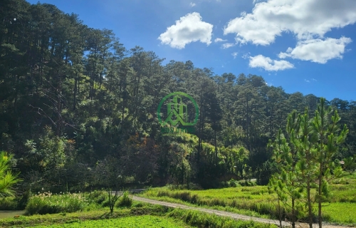 CẦN BÁN LÔ ĐẤT ĐẸP XÃ HIỆP AN - ĐỨC TRỌNG - LÂM ĐỒNG