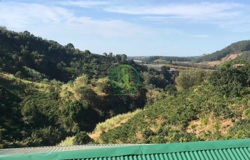 CẦN BÁN 3900M2 ĐẤT XÃ TÀ NUNG, TP. ĐÀ LẠT