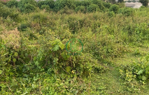 BÁN LÔ ĐẤT 403M2 TRUNG TÂM LẠC DƯƠNG - ĐÀ LẠT.