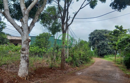 BÁN LÔ ĐẤT 292M2 XÃ BÌNH THẠNH - ĐỨC TRỌNG.