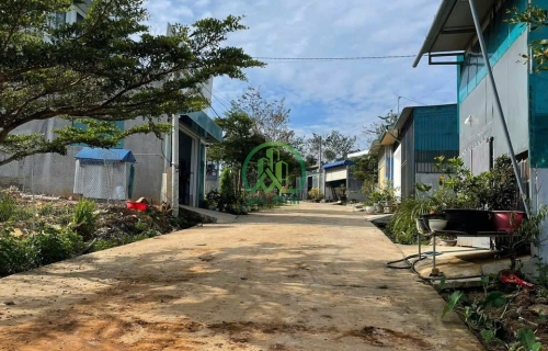 CẦN BÁN ĐẤT ĐỐI DIỆN TRƯỜNG NGHĨA HIỆP, XÃ LIÊN HIỆP, ĐỨC TRỌNG, LÂM ĐỒNG