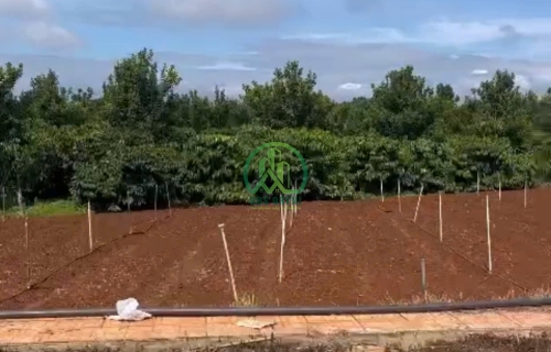 BÁN LÔ ĐẤT 111M2 XÃ LIÊN HIỆP - ĐỨC TRỌNG.