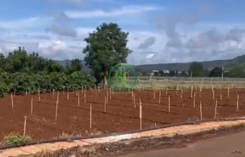 BÁN LÔ ĐẤT 149M2 XÃ LIÊN HIỆP - ĐỨC TRỌNG