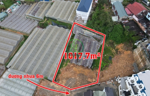 CẦN BÁN LÔ ĐẤT ĐƯỜNG HẺM NGUYỄN ĐÌNH QUÂN - P5 - ĐÀ LẠT