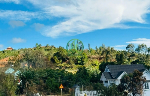 CẦN BÁN ĐẤT 2 MẶT TIỀN ĐƯỜNG XÃ MÊ LINH - HUYỆN LÂM HÀ - LÂM ĐỒNG