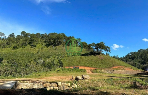  CẦN BÁN ĐẤT ĐẠ NGHỊT, XÃ LÁT, LẠC DƯƠNG, LÂM ĐỒNG