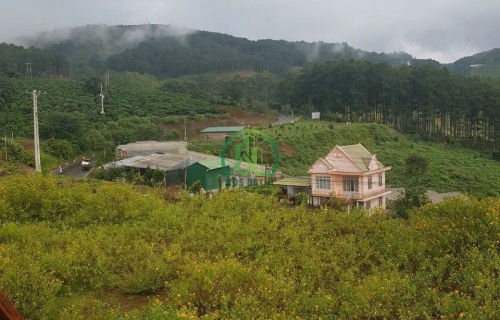 CẦN BÁN 4 LÔ ĐẤT MẶT TIỀN TỈNH LỘ 725 TRUNG TÂM TÀ NUNG - ĐÀ LẠT