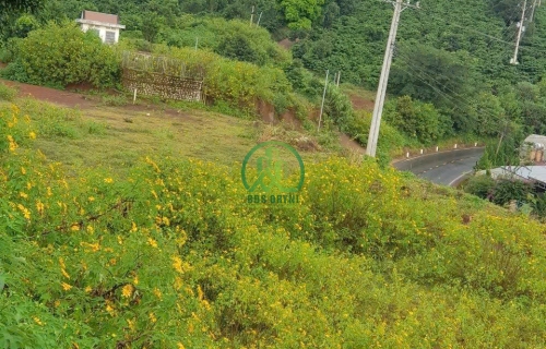 ĐẤT MẶT TIỀN TỈNH LỘ 725 TRUNG TÂM TÀ NUNG - ĐÀ LẠT