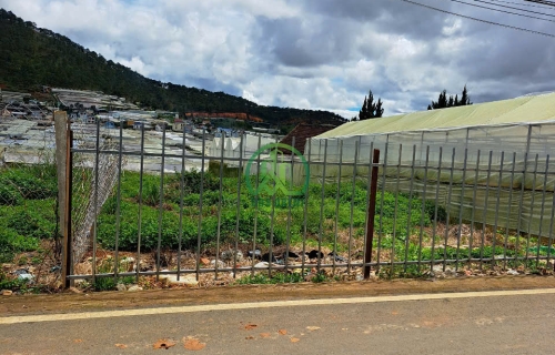 BÁN LÔ ĐẤT 650M2 SẴN 250M2 TC THÁI PHIÊN - P12 - ĐÀ LẠT.