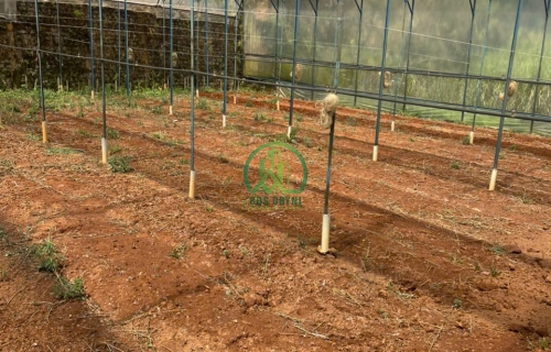 CẦN BÁN ĐẤT HẺM LÝ NAM ĐẾ- P8- ĐÀ LẠT 