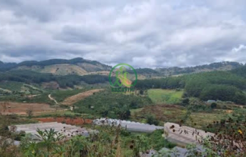 BÁN LÔ ĐẤT 707.84M2 MẶT TIỀN QUỐC LỘ XÃ TÀ NUNG - ĐÀ LẠT.