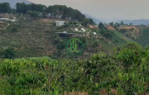 BÁN LÔ ĐẤT 584M2 MẶT TIỀN QUỐC LỘ XÃ TÀ NUNG - ĐÀ LẠT.