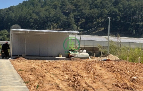 BÁN ĐẤT TẶNG NHÀ CẤP 4 ĐƯỜNG MIMOSA P10 - ĐÀ LẠT