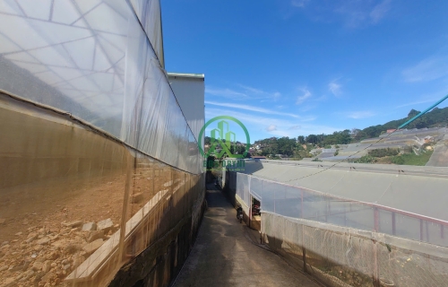 CẦN BÁN GẤP ĐẤT ĐƯỜNG HẺM Ô TÔ  AN SƠN- P4- ĐÀ LẠT 