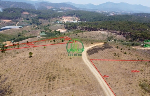 BÁN 5000M2 ĐẤT NÔNG NGHIỆP ĐẠ SA - LẠC DƯƠNG