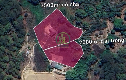 BÁN LÔ ĐẤT 2000M2 THẠNH MỸ - ĐƠN DƯƠNG - LÂM ĐỒNG.