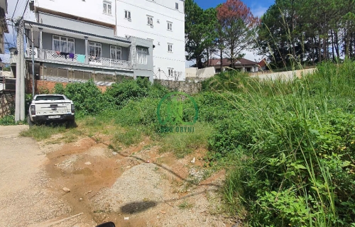 BÁN LÔ ĐẤT 114M2 NGUYỄN CÔNG TRỨ P8- ĐÀ LẠT