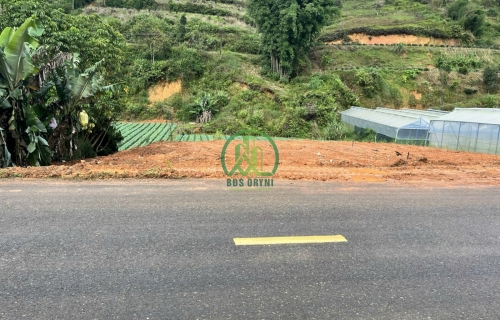 CẦN BÁN ĐẤT MẶT TIỀN ĐƯỜNG NHỰA ĐA PHÚ - P7 - ĐÀ LẠT