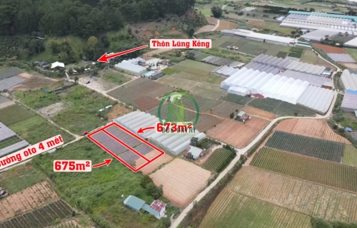 BÁN LÔ ĐẤT 675M2 ĐƯỜNG MIMOSA - P10 - ĐÀ LẠT.